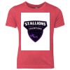 Youth Triblend T-Shirt Thumbnail