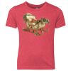 Youth Triblend T-Shirt Thumbnail